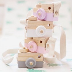 Camera, wooden toy